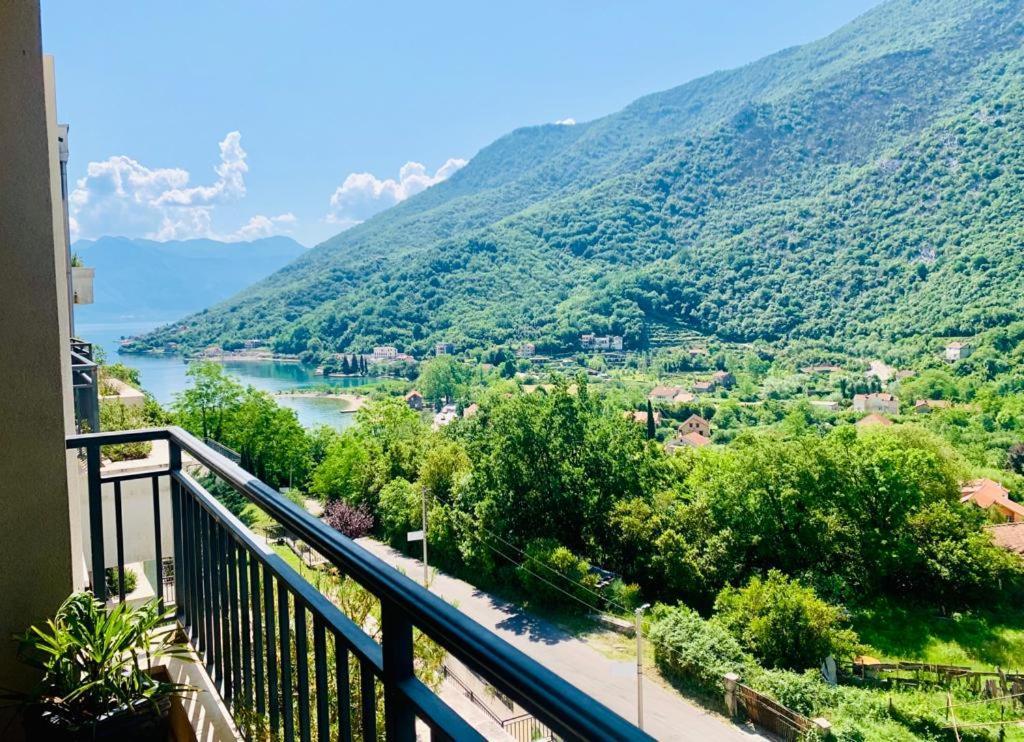 Lavender Bay Apartment F8 Donji Morinj Zewnętrze zdjęcie